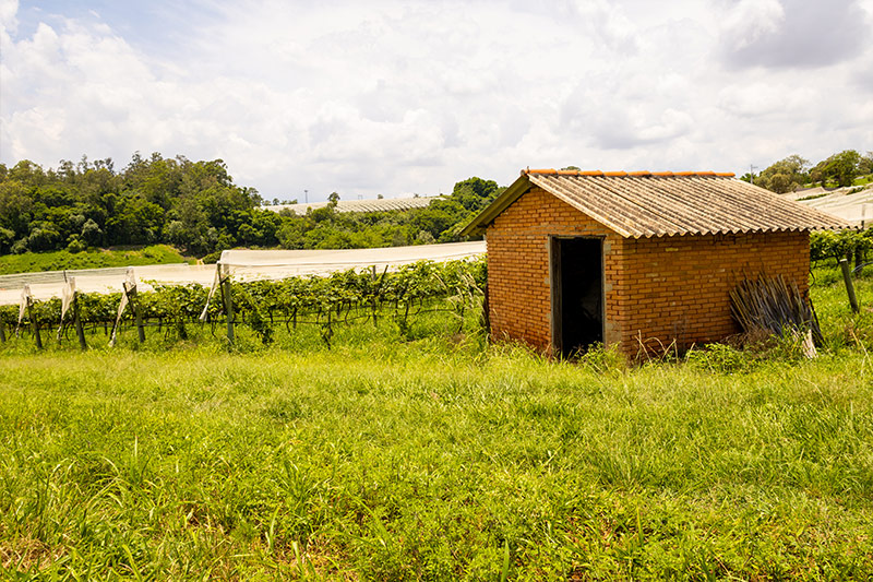 sucosdonnagige-galeria-sitio-lourencon-11