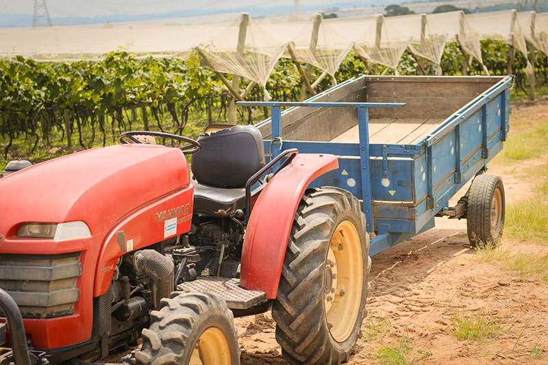 sucosdonnagige-galeria-sitio-lourencon-13