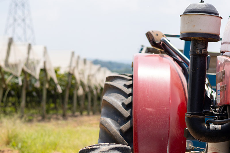 sucosdonnagige-galeria-sitio-lourencon-19